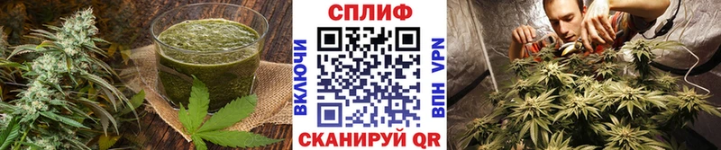 кракен ССЫЛКА  Алейск  Canna-Cookies марихуана 
