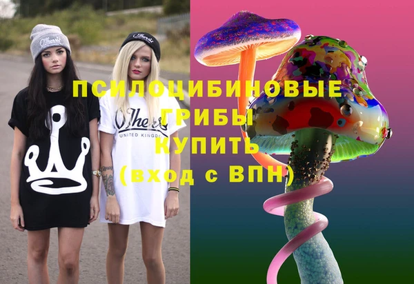 дурь Кулебаки