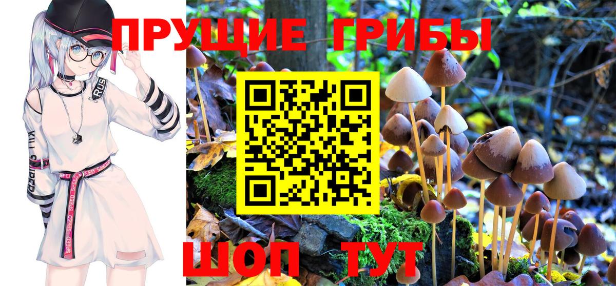 Псилоцибиновые грибы ЛСД  Вход с VPN  Алейск  Псилоцибиновые грибы Psilocybine cubensis 