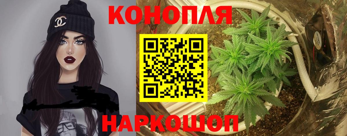 МАРИХУАНА план Алейск